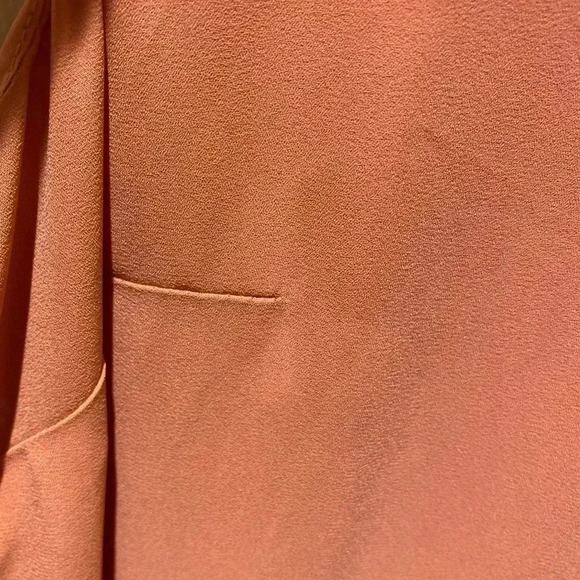 Banana Republic blush pleated dress 10 - Picture 10 of 11